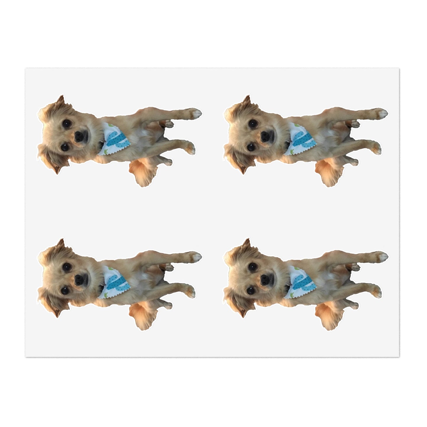 Chihuahua Sticker Sheets-Paper products-Printify-11" × 8.5"-White-Die-Cut-Fall Picks, Home & Living, Home Decor, Magnets & Stickers, Stationery, Stickers-PhoneCaseBoss.com