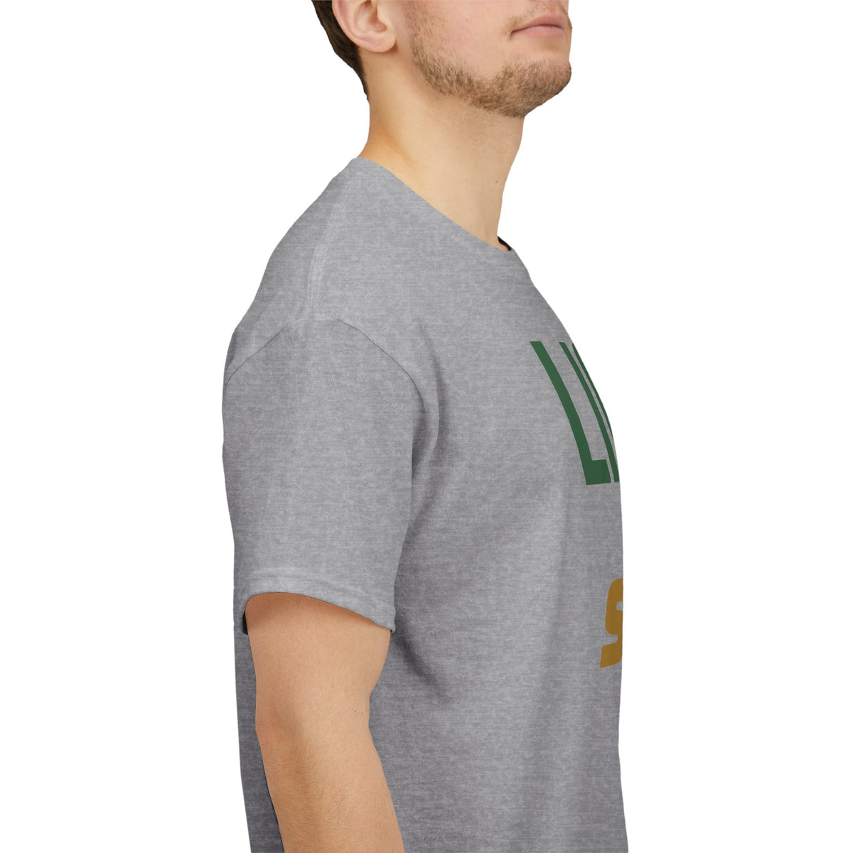 Lions Suck Football T-Shirt in Green Bay Colors - 5 varieties
