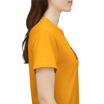 Las Vegas Sucks Football T-Shirt in Chief Colors - 2 varieties