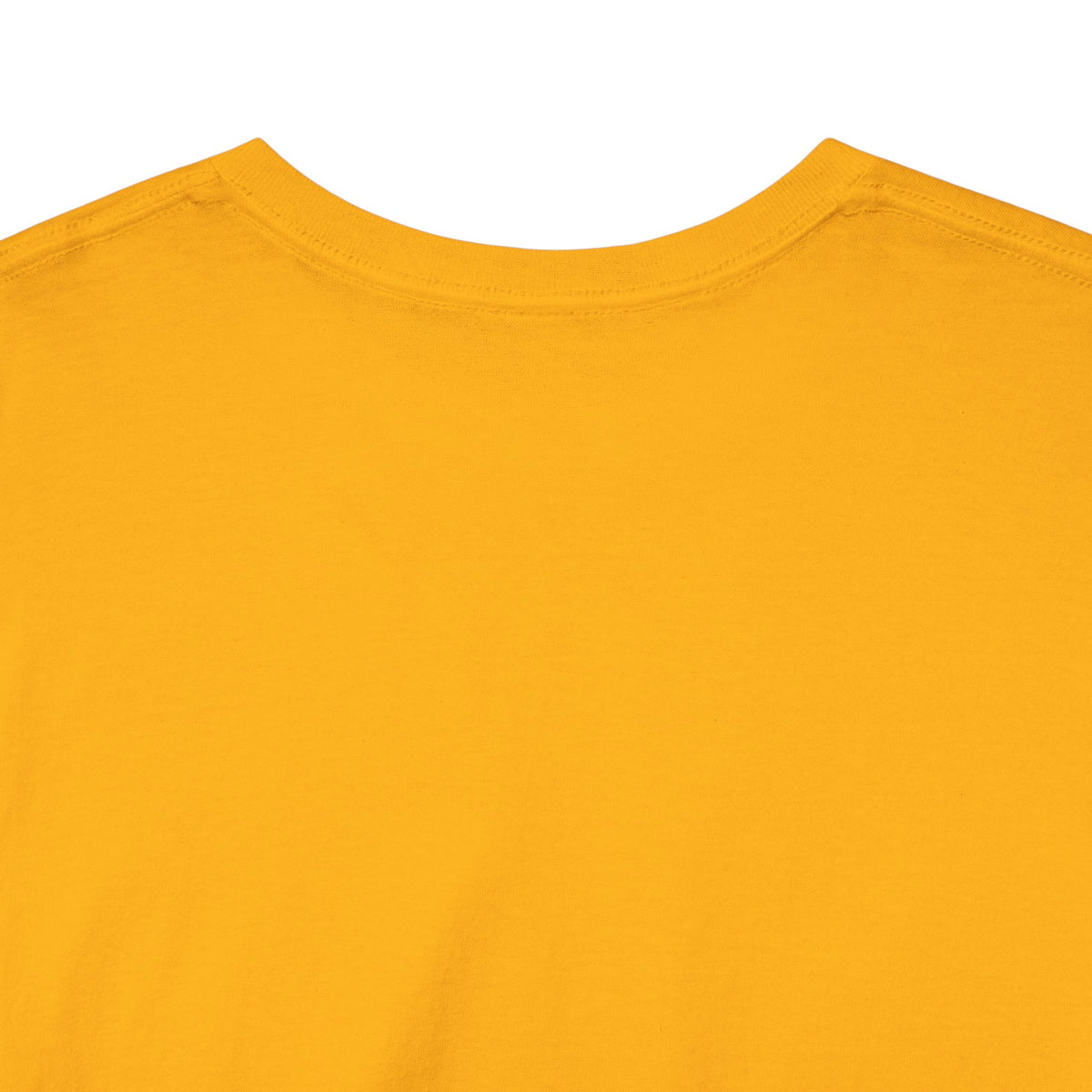 Lions Suck Football T-Shirt in Green Bay Colors - 5 varieties