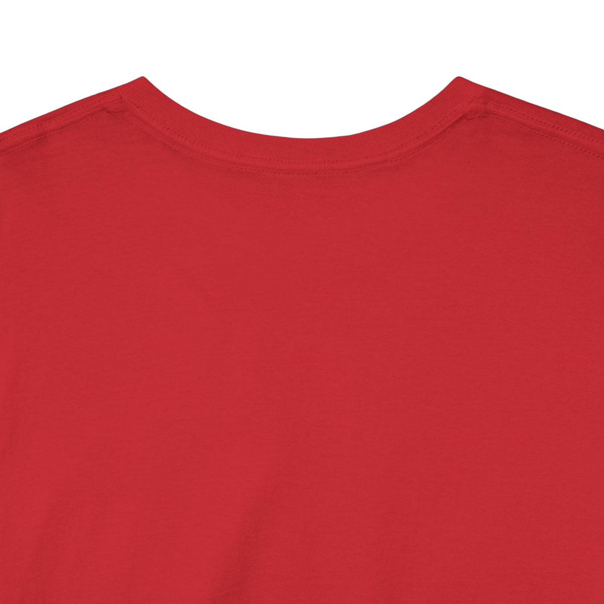 Las Vegas Sucks Football T-Shirt in Chief Colors - 2 varieties