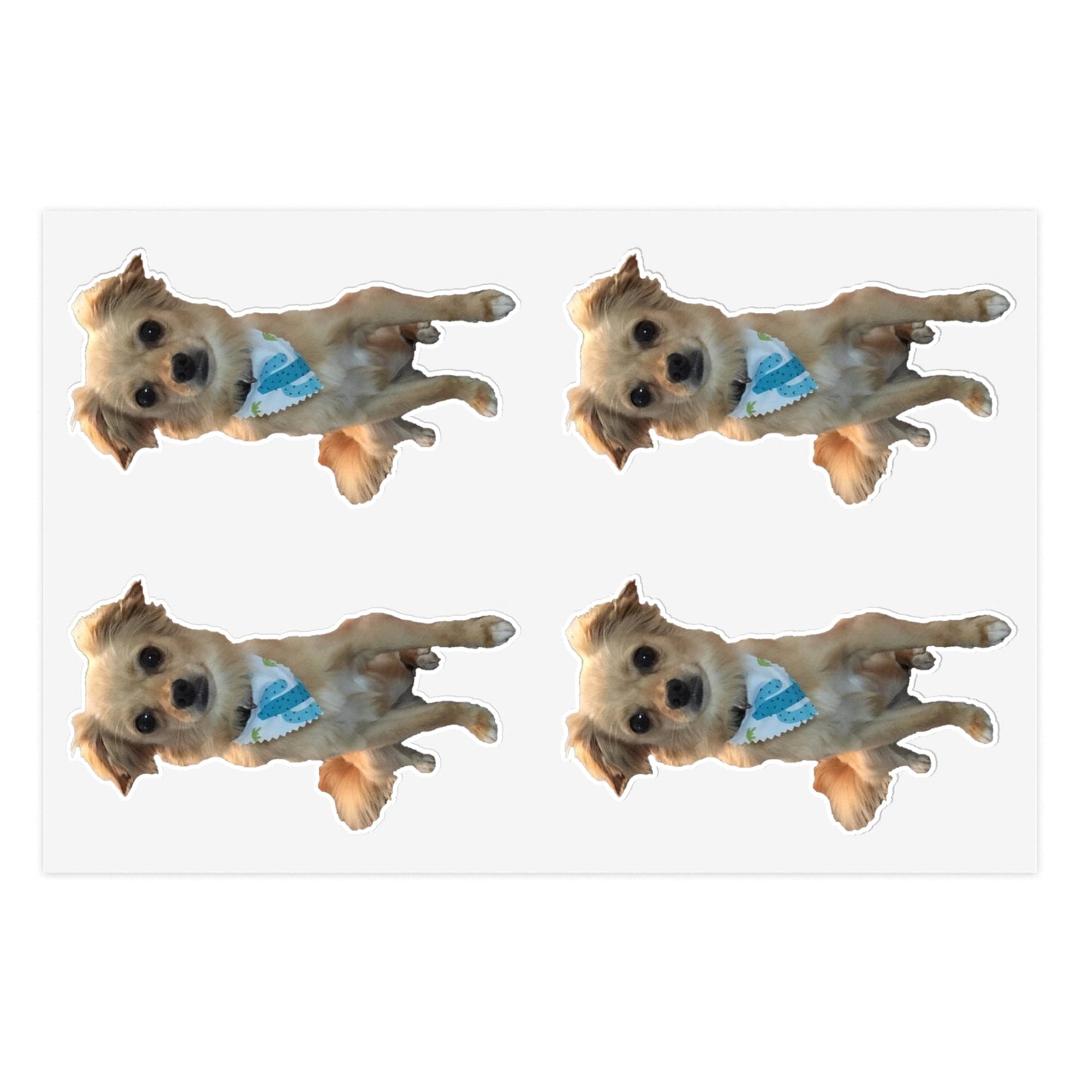 Chihuahua Sticker Sheets-Paper products-Printify-6" × 4"-White-Die-Cut-Fall Picks, Home & Living, Home Decor, Magnets & Stickers, Stationery, Stickers-PhoneCaseBoss.com