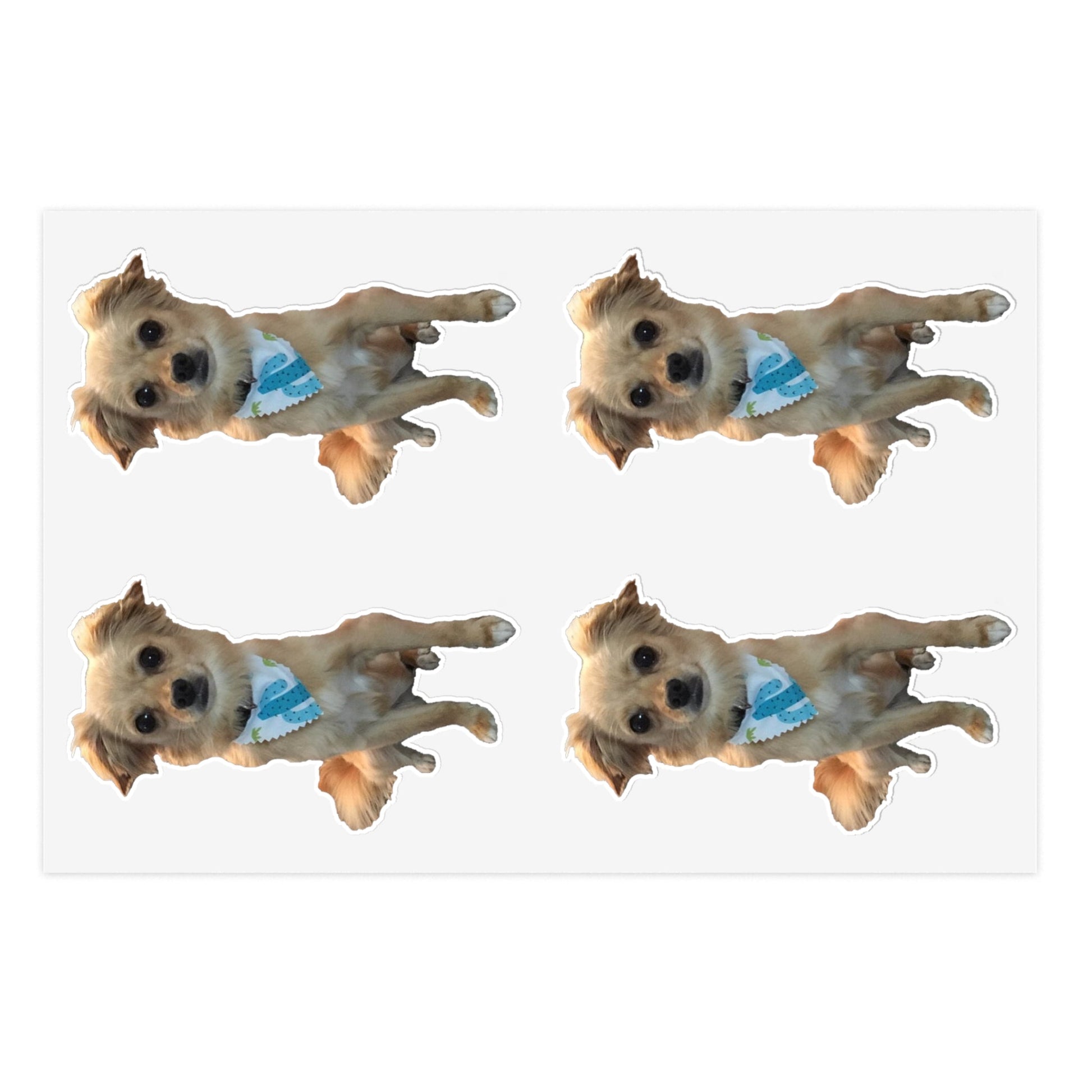 Chihuahua Sticker Sheets-Paper products-Printify-6" × 4"-White-Die-Cut-Fall Picks, Home & Living, Home Decor, Magnets & Stickers, Stationery, Stickers-PhoneCaseBoss.com