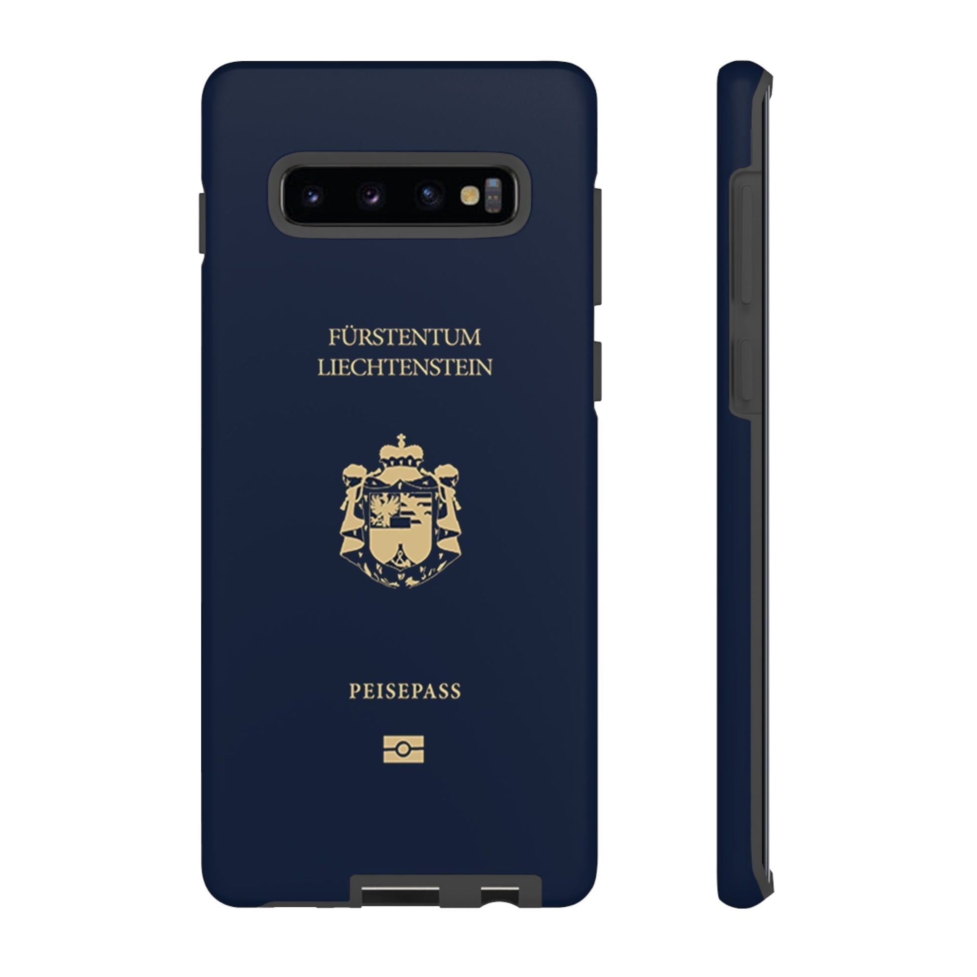 Phone Case-Liechtenstein Passort | Tough-Samsung Galaxy S10 Plus-Matte-PhoneCaseBoss-Phone-Best-Phone-Cases